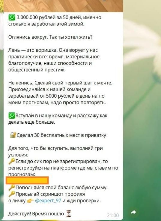 обзор Richerium_bot обзор Richerium_bot
