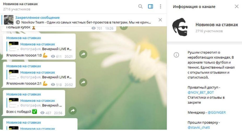 Новиков на ставках телеграмм канал Новиков на ставках телеграмм канал