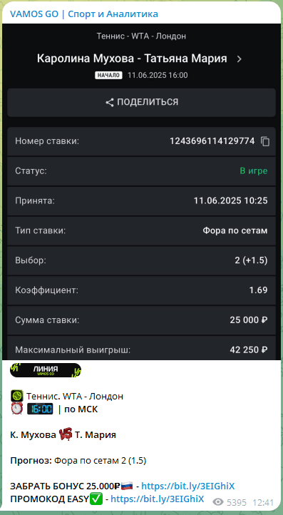 Vamos Go каппер Vamos Go каппер