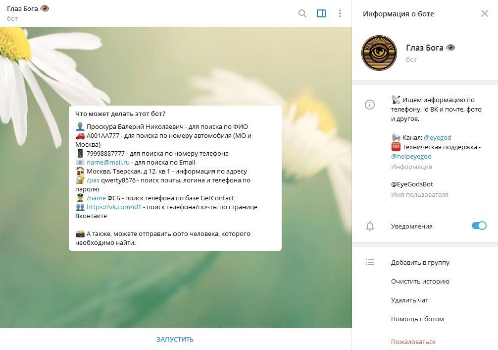 Глаз Бога телеграм