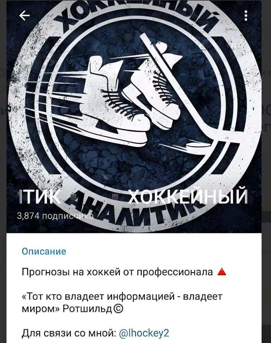 Хоккейный Аналитик