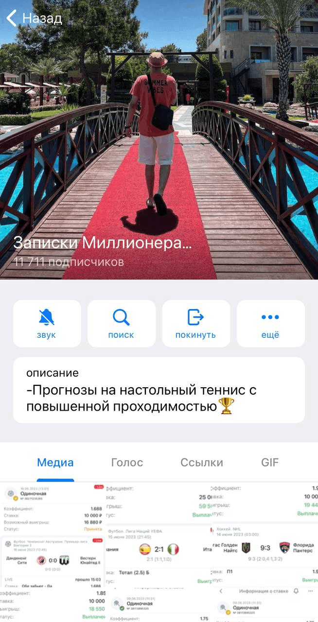 Записки миллионера