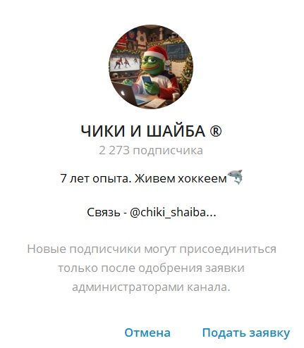 ЧИКИ И ШАЙБА ® отзывы