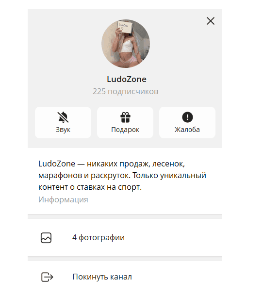 телеграмм LudoZone