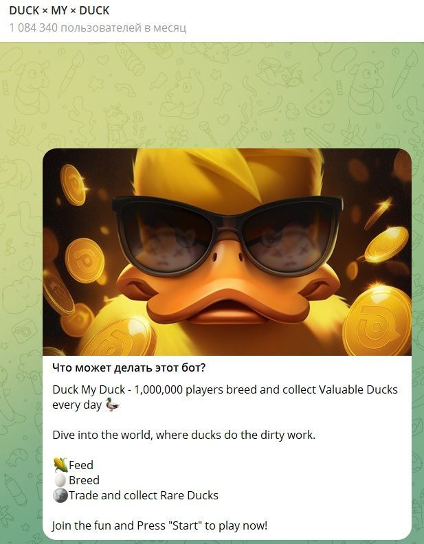 DUCK × MY × DUCK отзывы