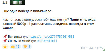 Информация о платном чате