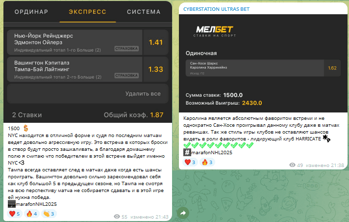 Прогнозы с описанием
