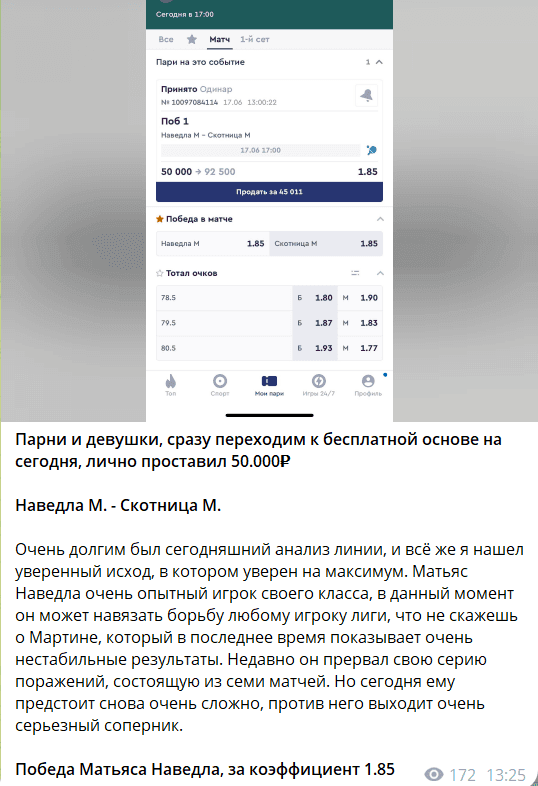 Чешская Ракетка