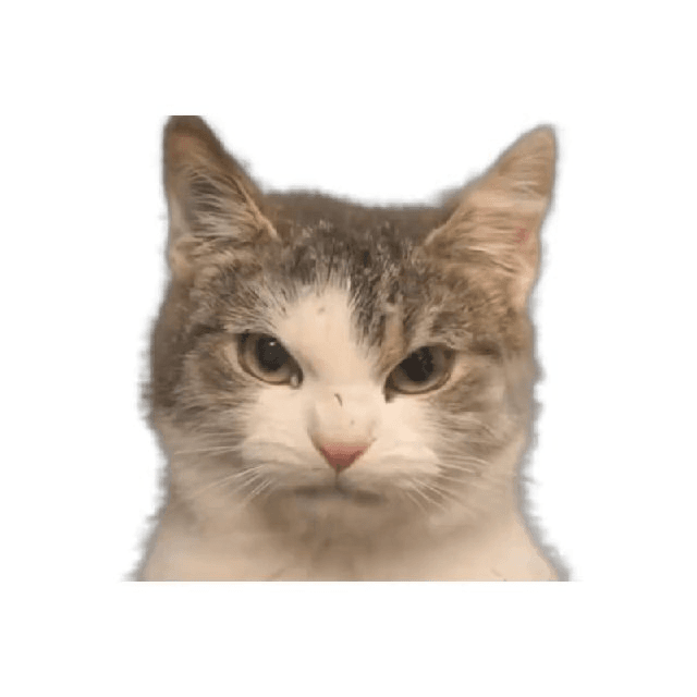 273