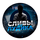 Сливы от Лудика